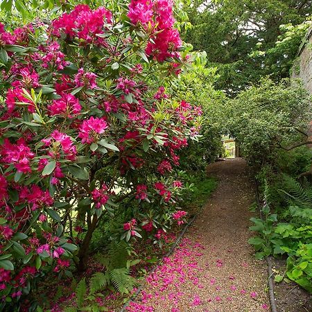 Boreham House Herstmonceux Ngoại thất bức ảnh