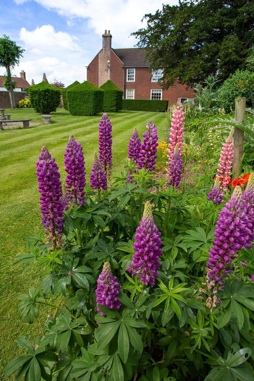 Boreham House Herstmonceux Ngoại thất bức ảnh